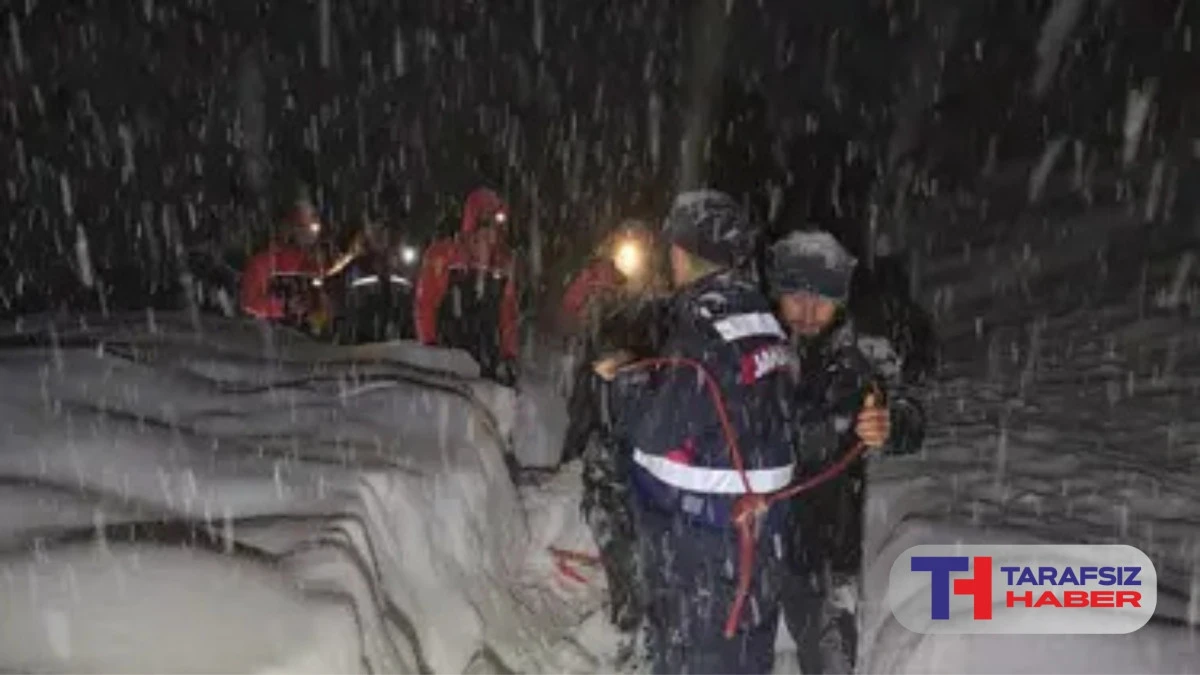 Giresun'da &ccedil;ığ altında kalan &ccedil;oban hayatını kaybetti