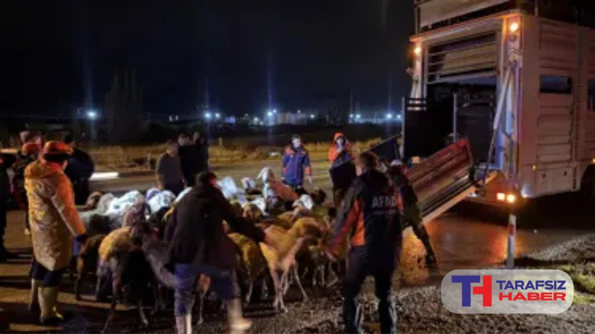 Kayseri'de taşkın &ouml;nlemi. 200 hayvan tahliye edildi