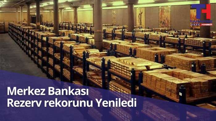Merkez Bankası Rezerv Rekorunu Yeniledi